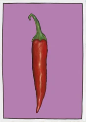 Chilli Paars, 2005